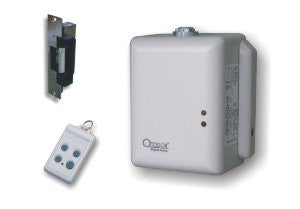 Skylink DM-150 Swing Door Opener with Electric Strike