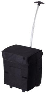 Smart Cart - Fold Flat Shopping Grocery Bag