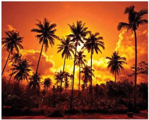 JP London MD4A052 10.5-Feet Wide by 8.5-Feet High Beach Fire Sunset Removable Full Wall Mural